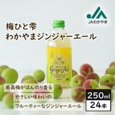 【瓶250ml×24本】梅ひと雫 わかやまジンジャーエール／和歌山県産の生姜・南高梅果汁を使用！