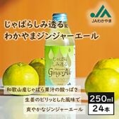 【瓶250ml×24本】じゃばらしみ透る わかやまジンジャーエール／和歌山県産