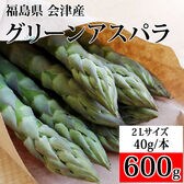 【600g/2L】 会津アスパラガス 福島県喜多方産※1本約40g以上