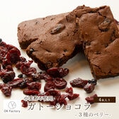 【4本入り】スティックガトーショコラ（3種のベリー）1本当たり約45g(個包装)※割れ欠けあり