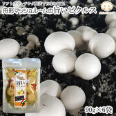 【540g(90g×6袋) 】マッシュルームピクルス