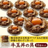 【計10袋(1袋80g×10袋)】牛玉丼の具