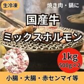 【計1kg/500g×2パック】国産牛 ミックスホルモン（シマチョウ・マルチョウ・ギアラ等）