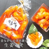 【240g×1袋】生姜みそ