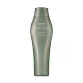 資生堂 サブリミック フェンテフォルテ ドライスカルプシャンプー DS 250mL