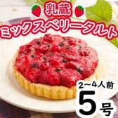 【5号】「乳蔵」ミックスベリータルト