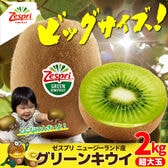 【約2kg】大玉グリーンキウイフルーツ秀品