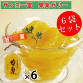 【1袋350g×6袋】サンヨー堂 果実ゼリー 甘夏