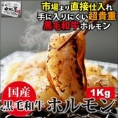 【1kg(200g×5パック)】国産 黒毛和牛 ホルモン (牛 小腸)