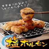 【1kg(100g×10パック)】国産牛 塩ホルモン (牛 小腸)