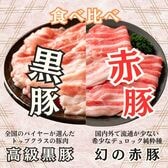 【計2kg/500g×4種各1パック】静岡県産『黒豚＆赤豚』焼肉2種食べ比べセット