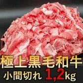 【1.2kg(200g×6p)】極上黒毛和牛 小間切れ