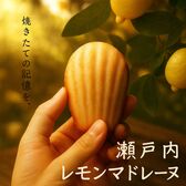 【8個入】瀬戸内レモンマドレーヌ