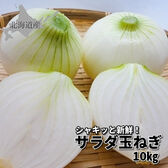 【予約受付】8月上旬~順次出荷　北海道産 サラダ玉ねぎ 10kg