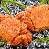 【計約1kg/500g前後×2尾】北海道オホーツク海産 ボイル 毛がに