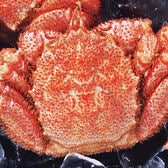 【500g前後×1尾】北海道オホーツク海産 ボイル 毛がに