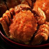 北海道産毛蟹570g