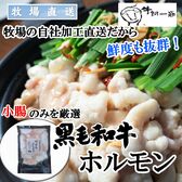 【900g】産地直送！九州産黒毛和牛ホルモン(180g×5袋)