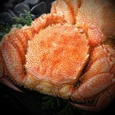 北海道産毛蟹650g