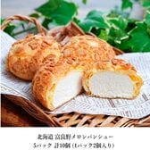 【計10個/(1P2個入り)×5パック】北海道『富良野メロンパンシュー』