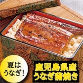 【110g×2尾】鹿児島県産 うなぎ蒲焼き（タレ・山椒付き）