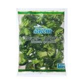 【計1kg/500g×2パック】さぶーる 冷凍ブロッコリー
