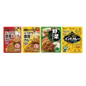 【4種/計4袋】カレーセット（ビーフ・チーズ・インド・野菜）
