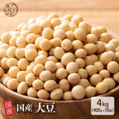 【4kg(400g×10袋)】国産 黄大豆