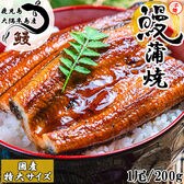【特大200g×1尾】鹿児島大隅半島産 備長炭手焼き うなぎ蒲焼 (タレ付き)