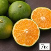 【予約受付】9/20-順次出荷【7kg/2S-2Lサイズ込】極早生 吉田みかん ※ご家庭用・傷あり