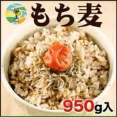 【1セット950g】国産もち麦