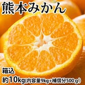 【予約受付】10/3~順次出荷【箱込約10kg】熊本みかん  (ご家庭用・傷あり)