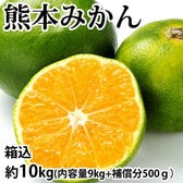 【予約受付】10/3~順次出荷【箱込約10kg】熊本みかん 極早生(ご家庭用・傷あり)