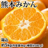【箱込約5kg】熊本みかん  (ご家庭用・傷あり)