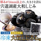 【日替わり数量限定】【1kg】宍道湖産 大粒 しじみ《冷凍》 獲れたて急速冷凍！【先行チケット利用NG】