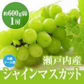 【約600g弱(1房)】瀬戸内産シャインマスカット