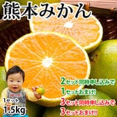 【予約受付】10/7~順次出荷【1.5kg】熊本みかん 極早生 (ご家庭用・傷あり)