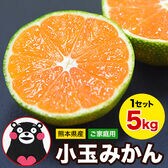 【予約受付】9/11~順次出荷【5kg(約62玉前後~142玉前後入)】熊本小玉みかん ※ご家庭用