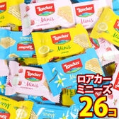 【26コ】コストコお試し版 ロアカー ミニーズ スプリング・サマーミックス