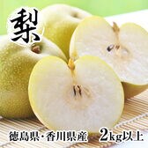 【2kg以上(5~7玉)】香川県・徳島県産 梨 きれい《品種おまかせ》