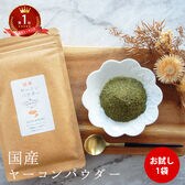 【40g】国産ヤーコン粉末 野菜 国産
