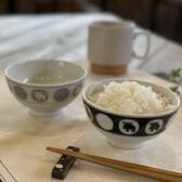 moz 美濃焼 お茶碗ペアセット