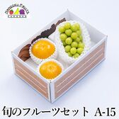 フルーツセットA15 (シャインマスカット・柿)
