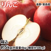 【箱込約5kg】りんご《個数・品種おまかせ》