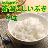 【2kg×1袋】令和7年産  新米  大人気 新潟県上越産こしいぶき