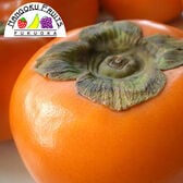 【予約受付】11月上旬~順次出荷　【福岡産】10kg  富有柿