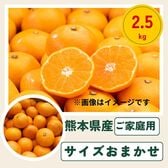 【2.5kg】熊本みかんサイズおまかせ(ご家庭用)