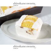 shirokane sseets TOKYO プレミアムアイスクリームケーキ(オレンジ)