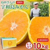 【予約受付】11/1~順次出荷【10kg】愛媛県産 宇和島みかん (ご家庭用、傷あり)