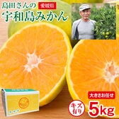 【予約受付】11/1~順次出荷【5kg】愛媛県産 宇和島みかん (ご家庭用、傷あり)